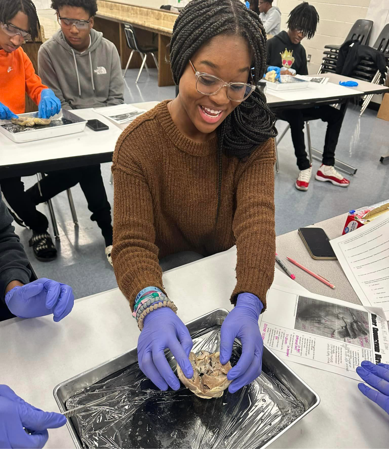 High school student is wearing gloves and dissecting a sheep heart. 