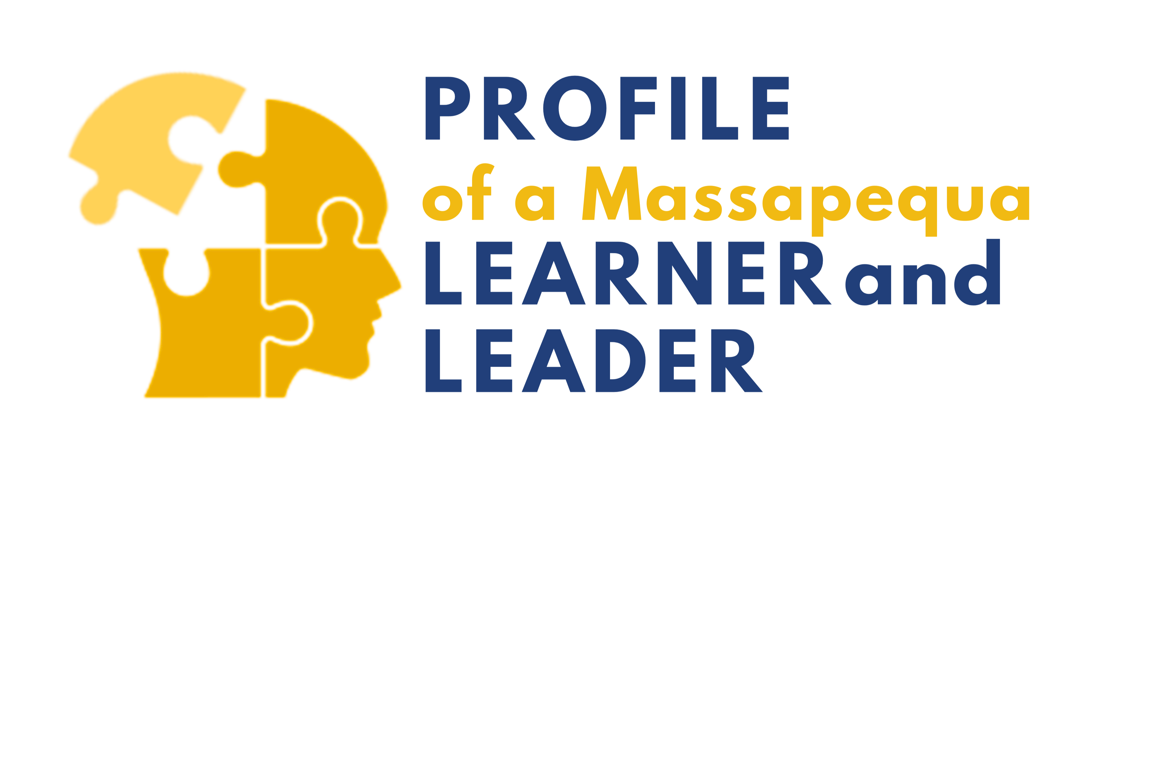 Profile of Massapequa Learner Icon