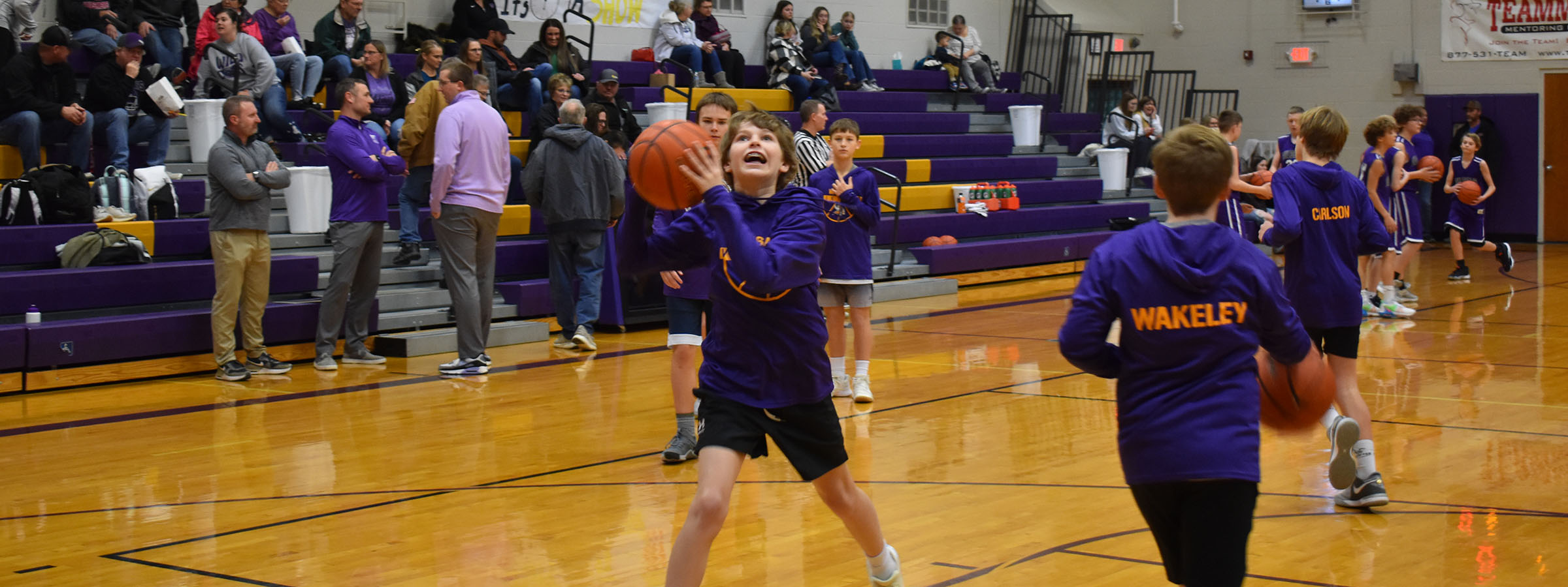 A young boy in purple holding a basketball.