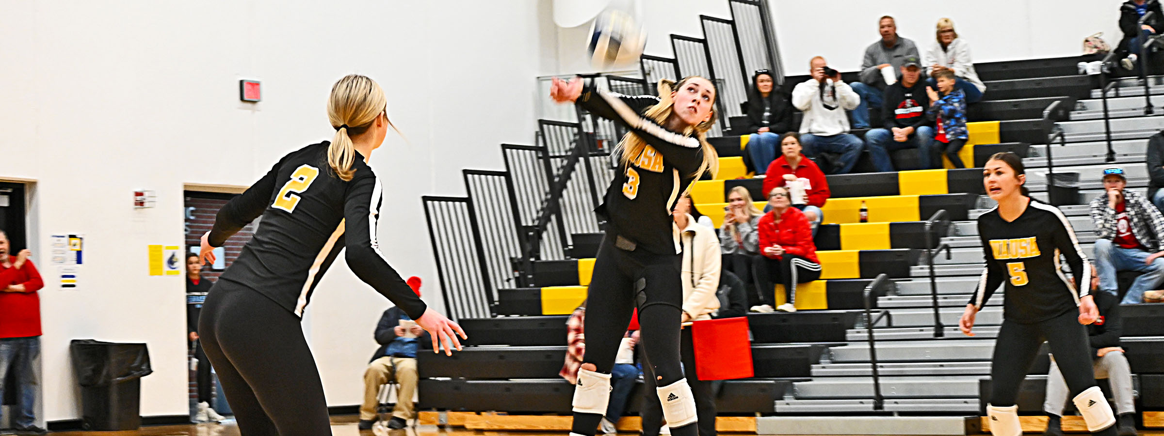 Volleyball Game