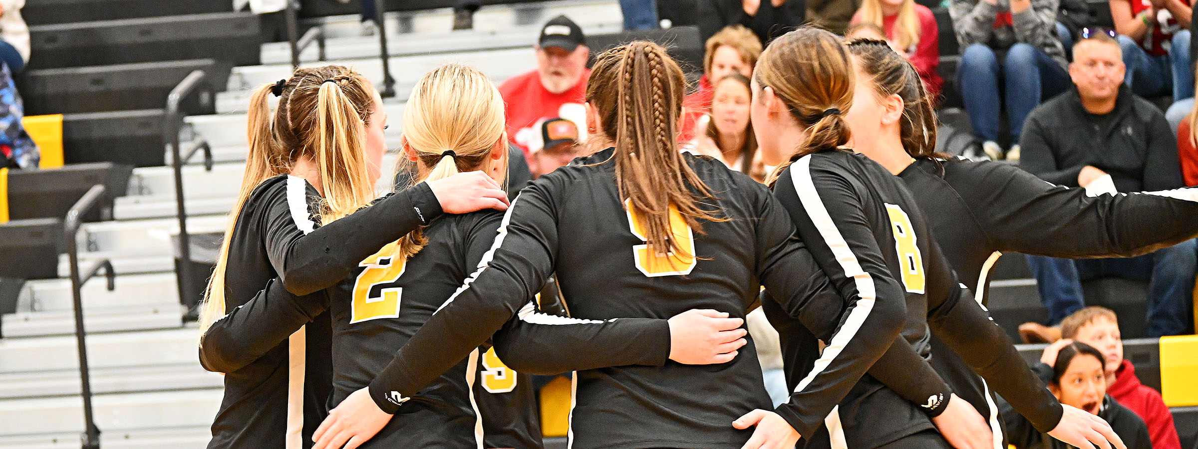 Volleyball Game