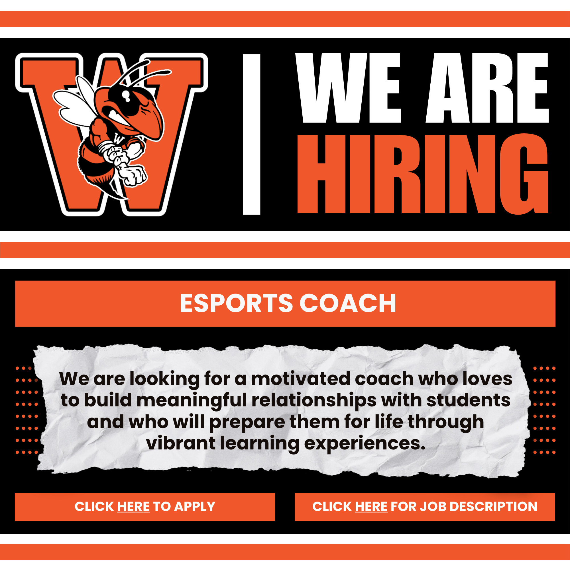 Esports Coach