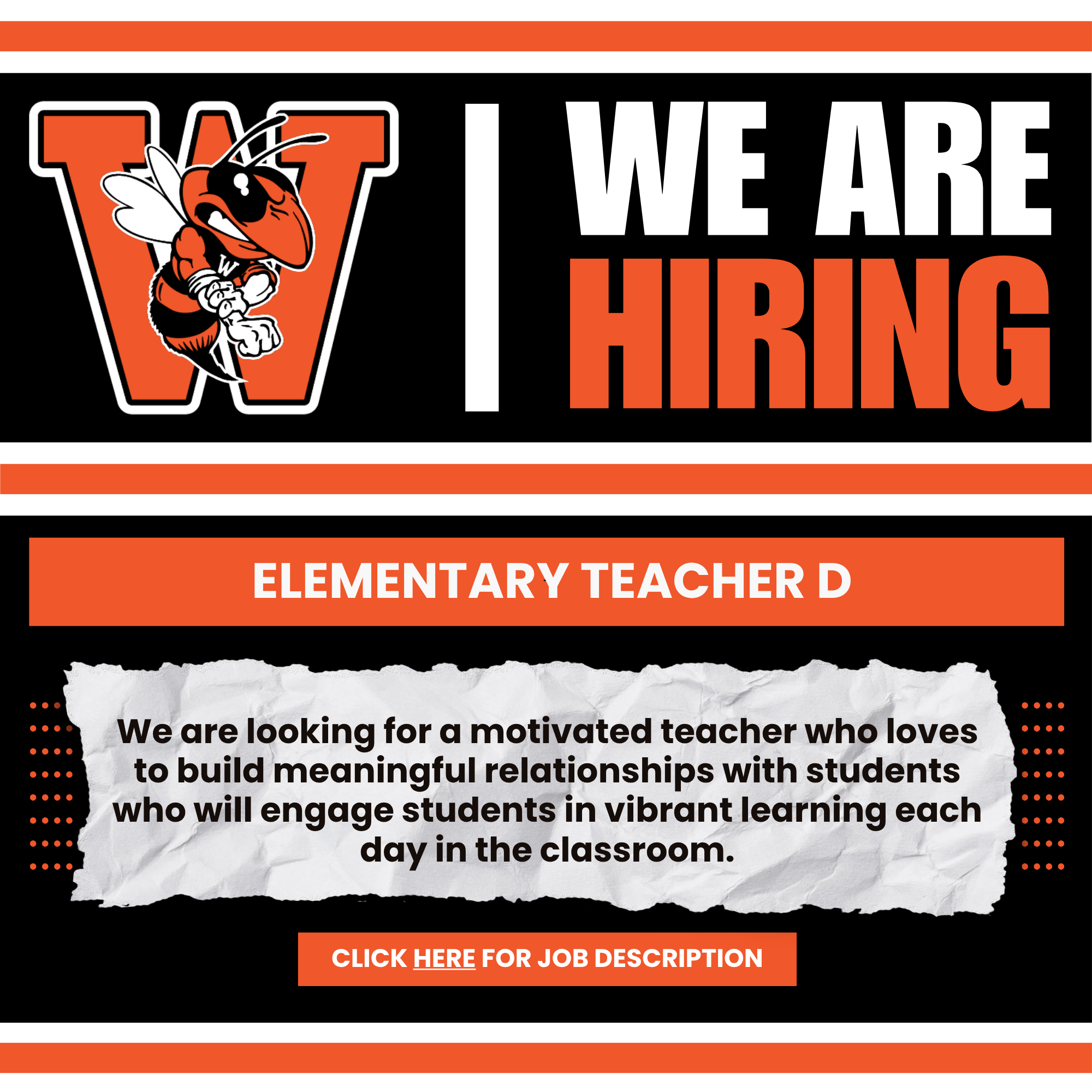 Elementary Teacher D