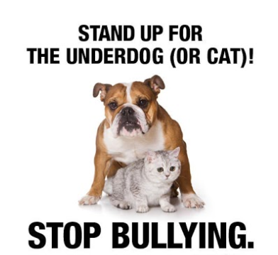 STAND UP FOR THE UNDERDOG (OR CAT)! - STOP BULLYING