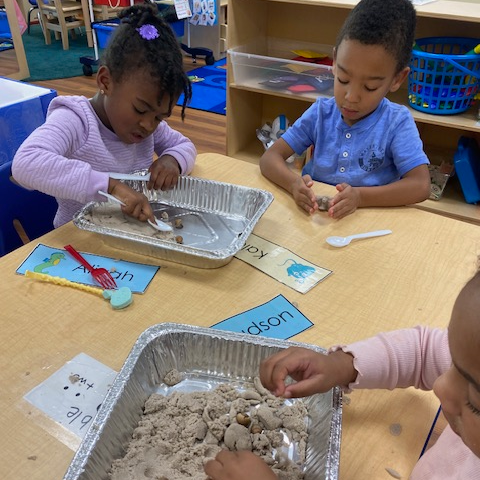 Preschool students engaging in science