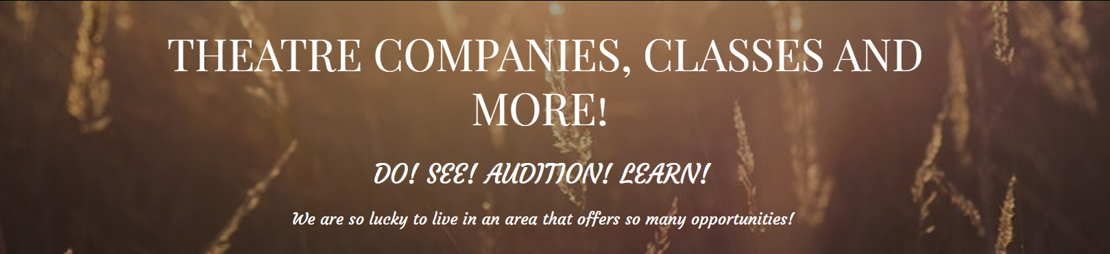 Theatre Opportunities