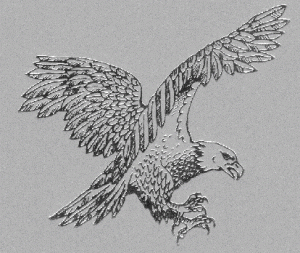 Phillips Blackhawks