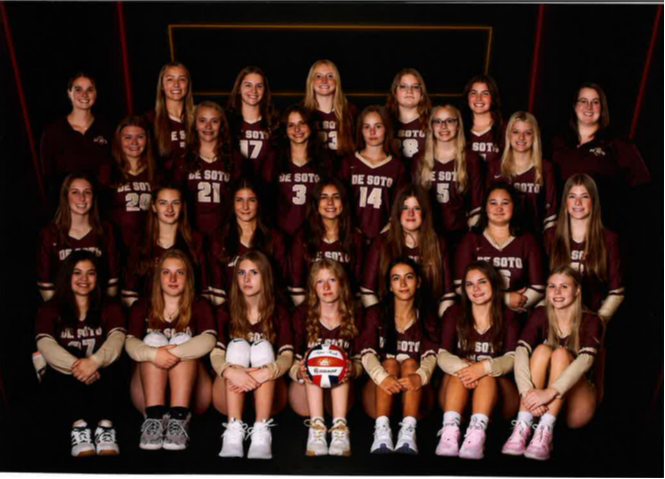 volleyball