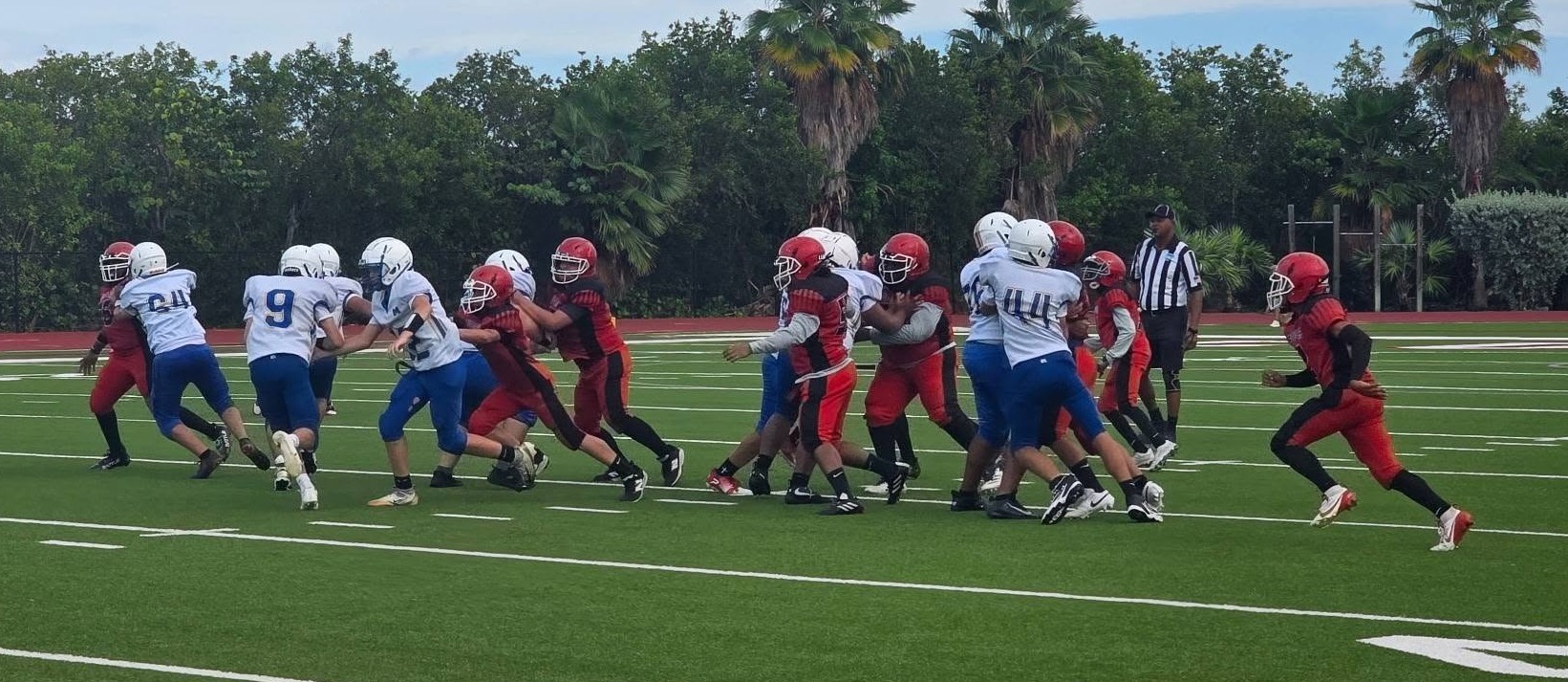 Football players on the field
