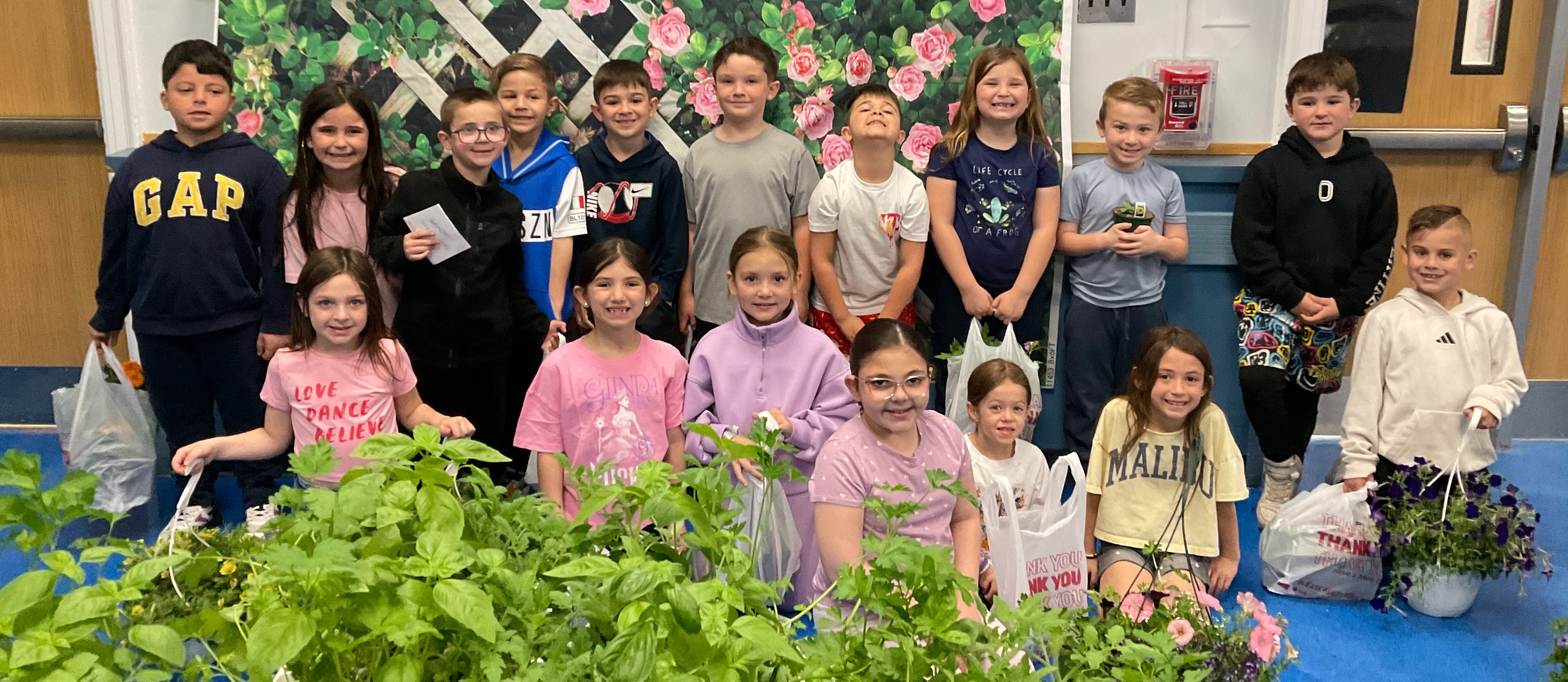 Plant Sale