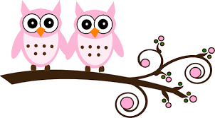 two pink birds on a branch