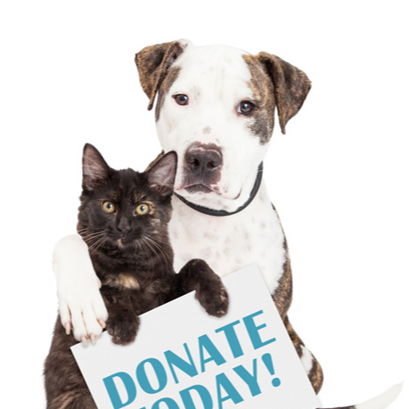 A dog and cat sit together beside a sign that reads "Donate Today," promoting animal welfare and support.