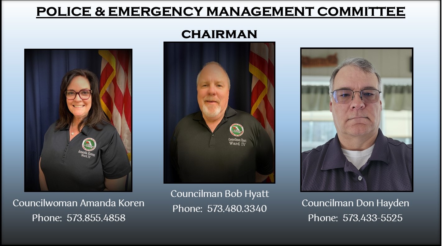 Police and Emergency Services Committee Members