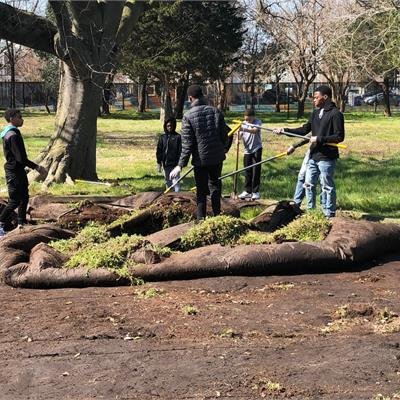 people in garden