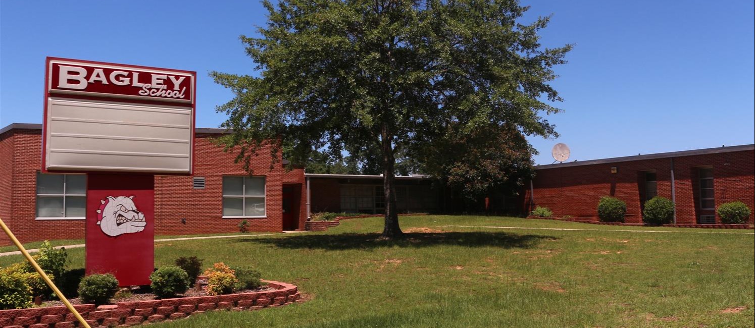 outside view of Bagley Elementary with large tree in front