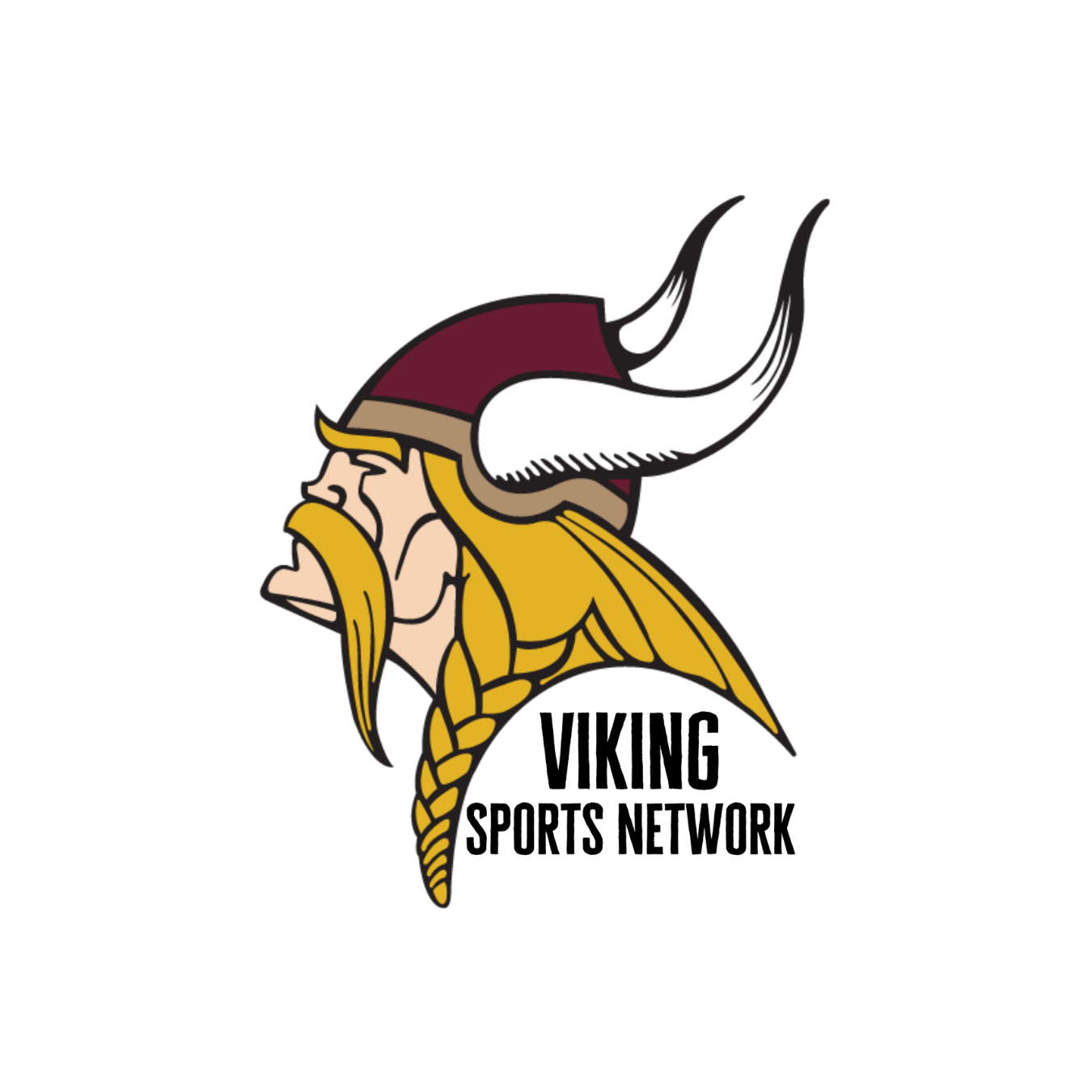 Viking Sports Network logo with image of Viking Head