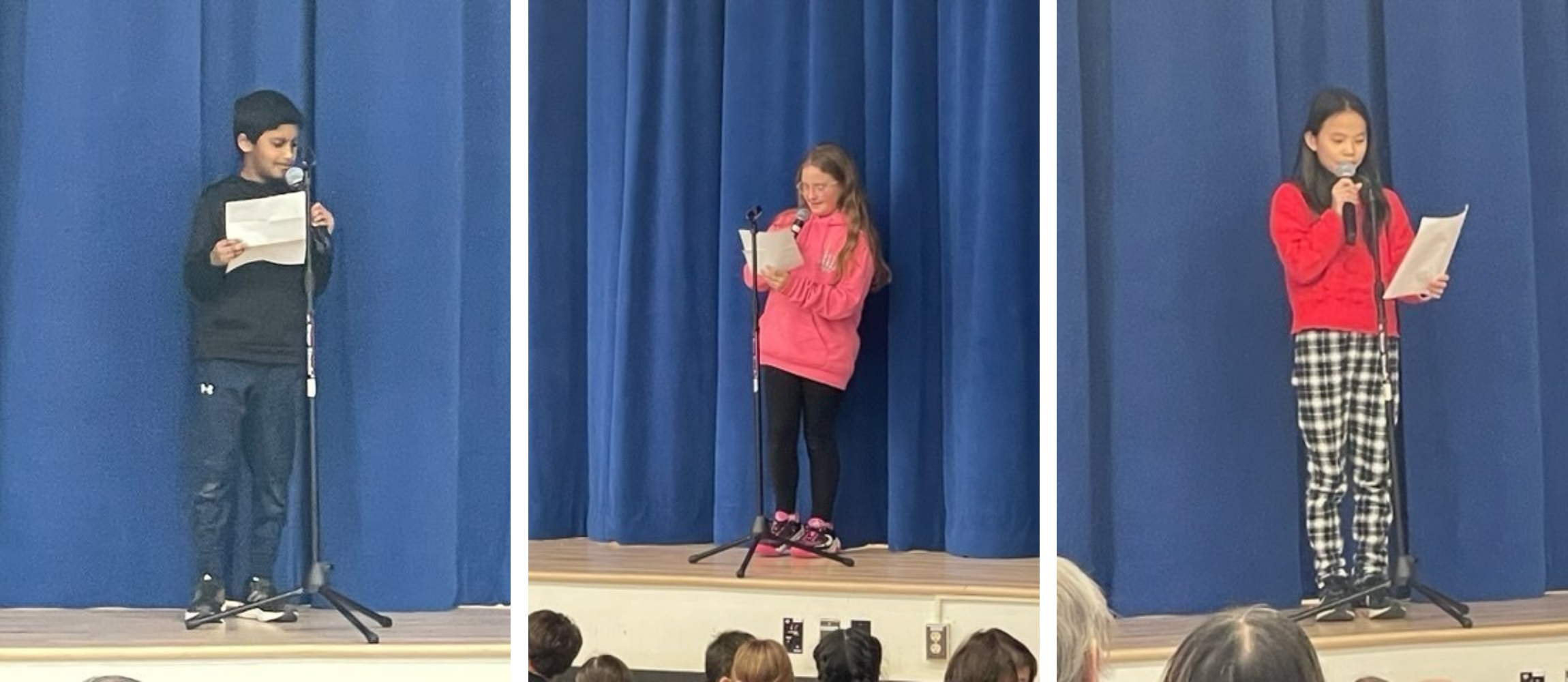 poetry slam at boght hills