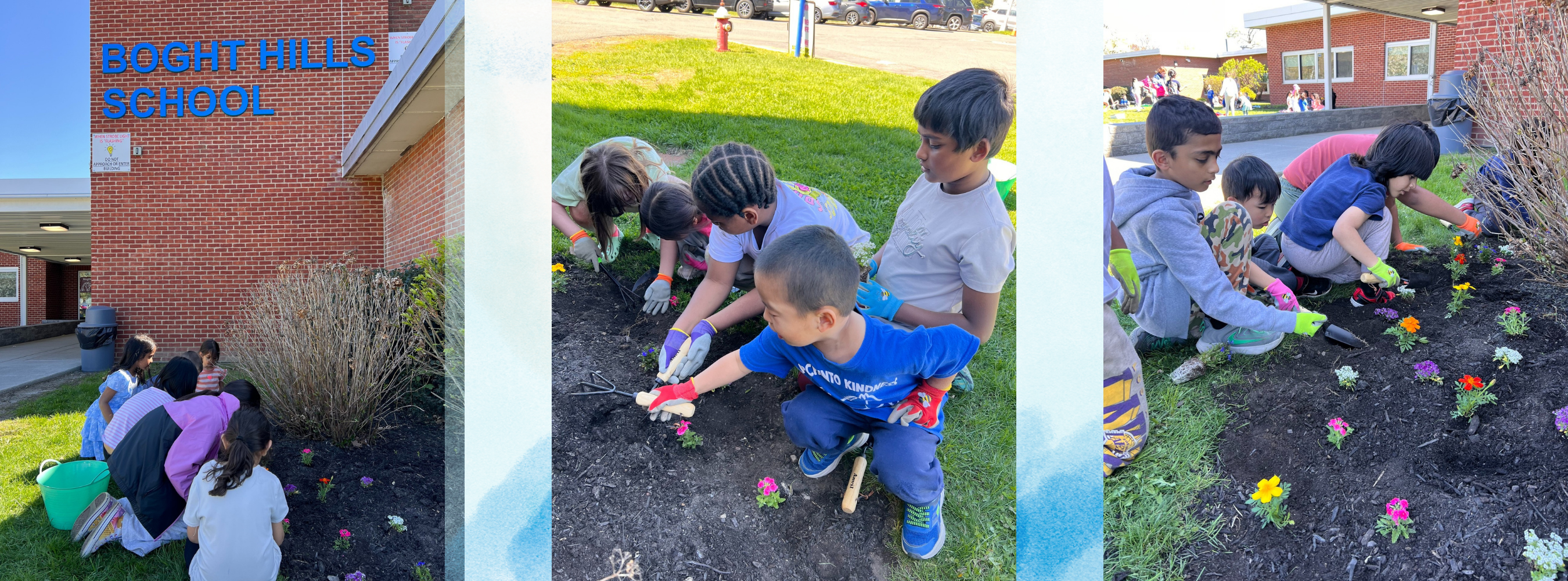 Images of students planting flowers for Earth Day.