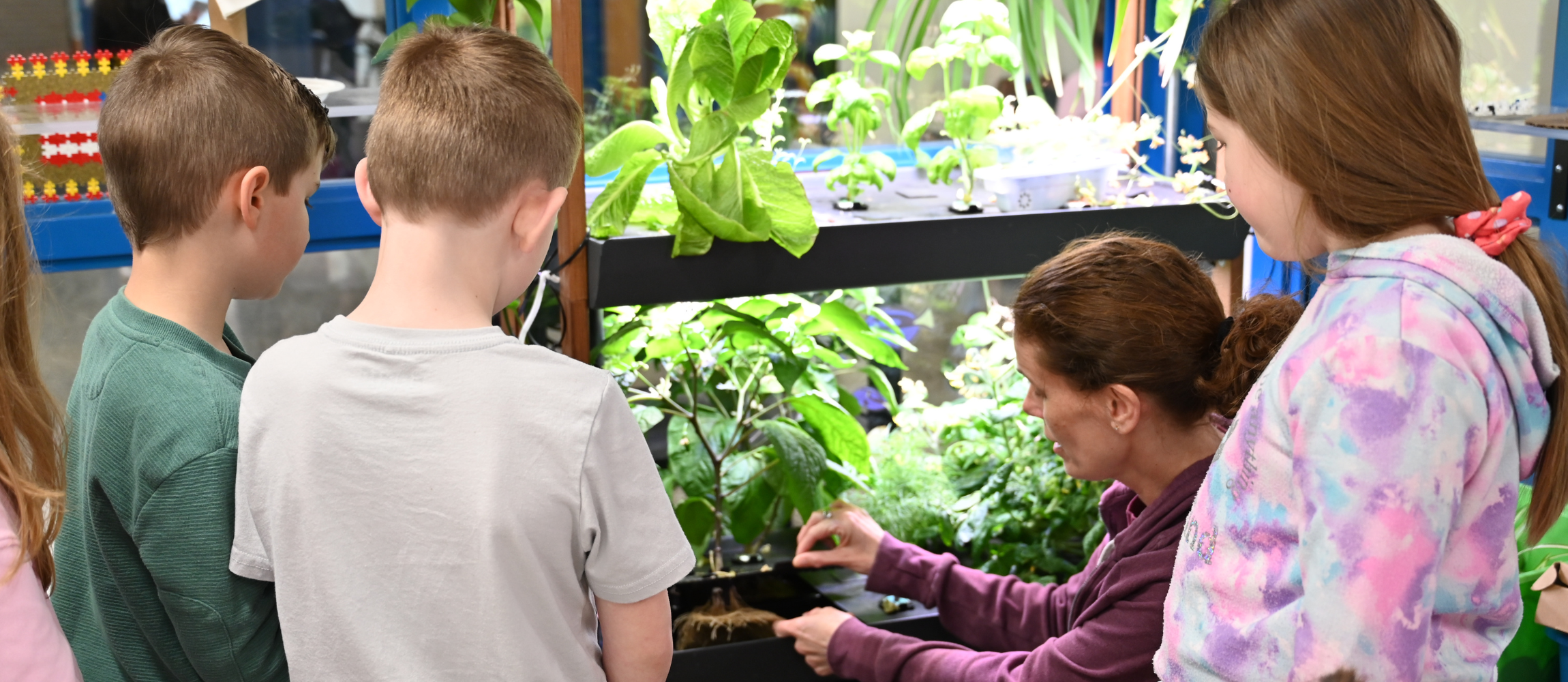 A teacher shows students some of the various plants growing in their classroom.