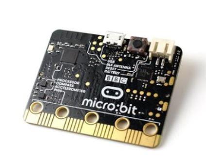 Microchip