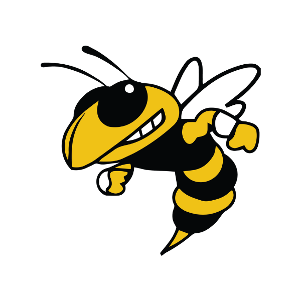 McAdory Elementary School Logo - Yellow Jacket with intimidating grin