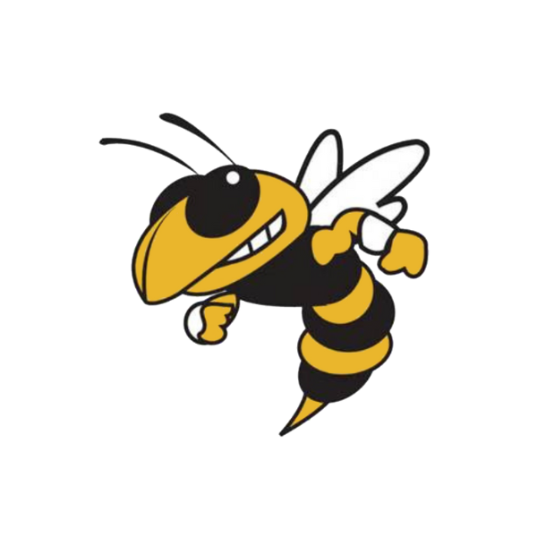 Yellow and black yellow jacket with an evil grin