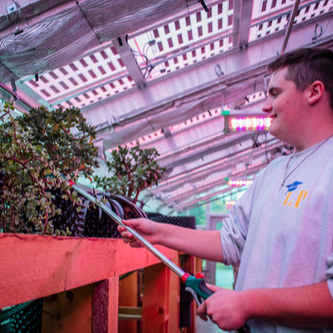 A student waters a plant in a greenhouse