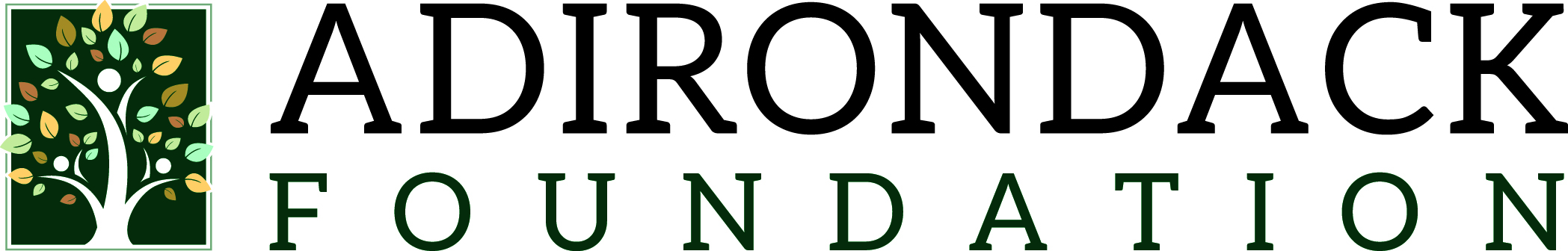 Adirondack Foundation logo