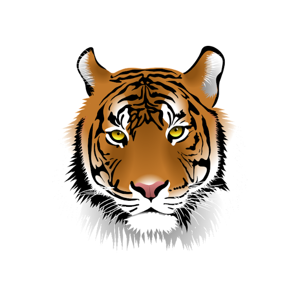 Tiger Head