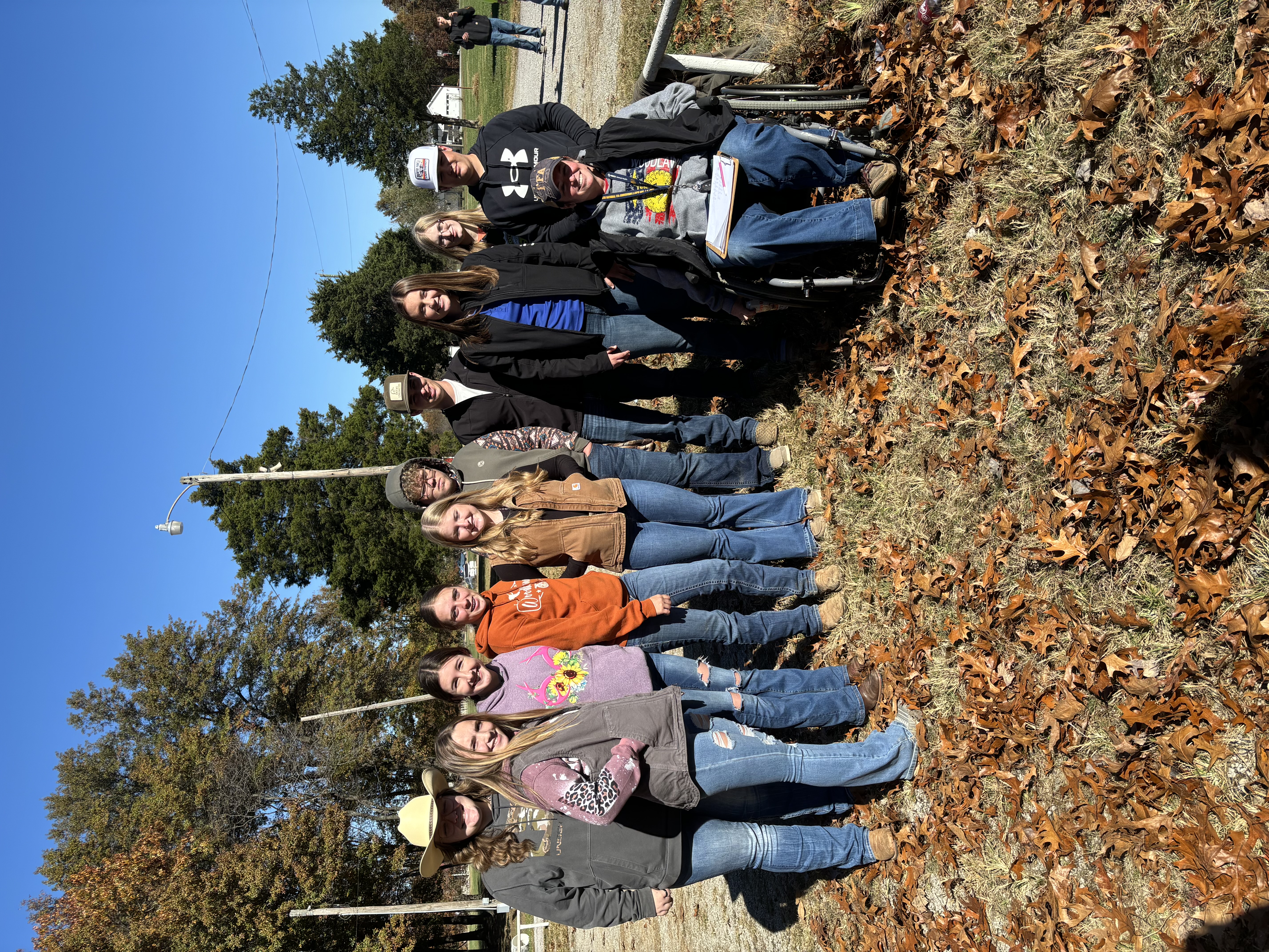 Horse  Judging  2024