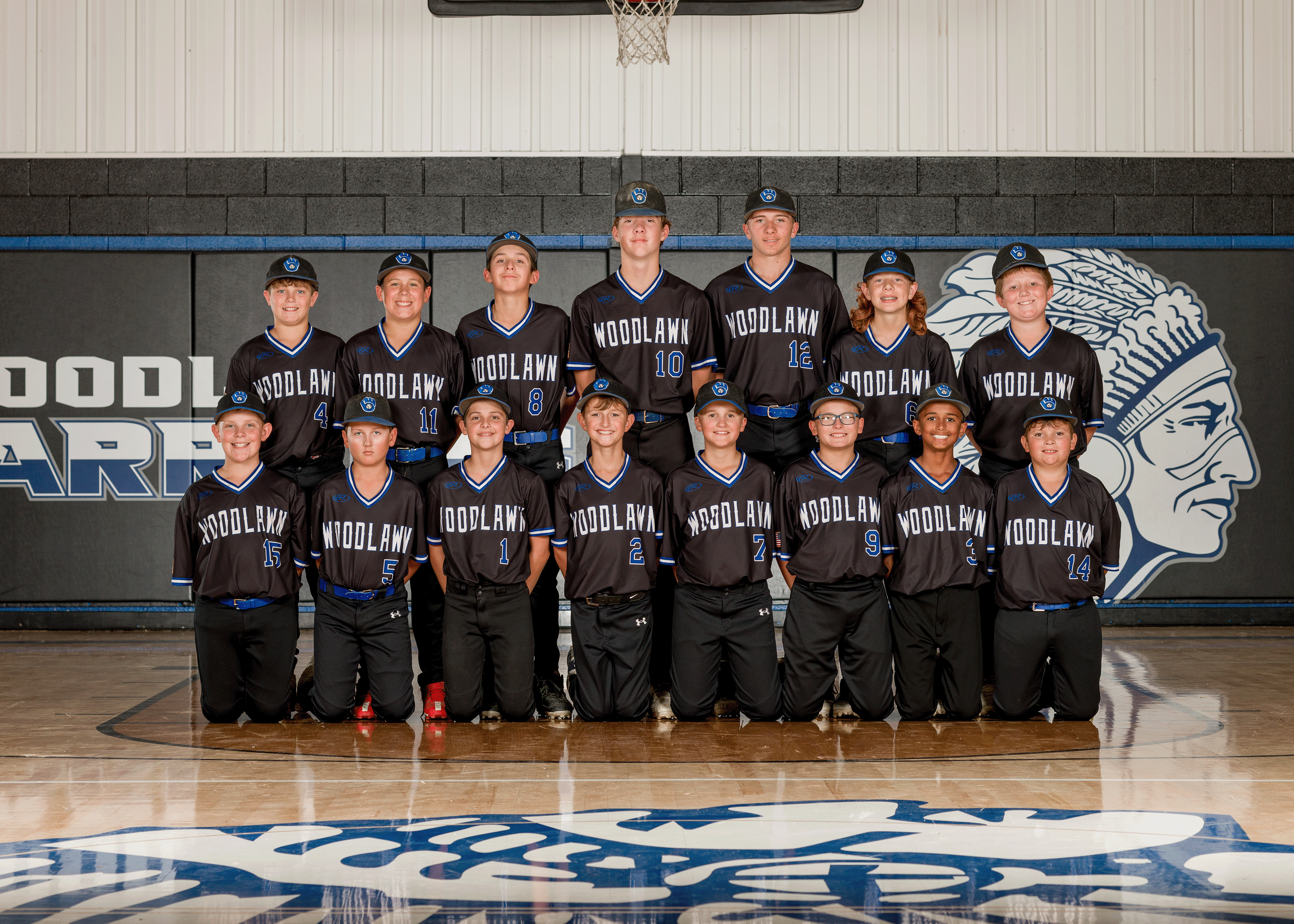 Baseball Picture