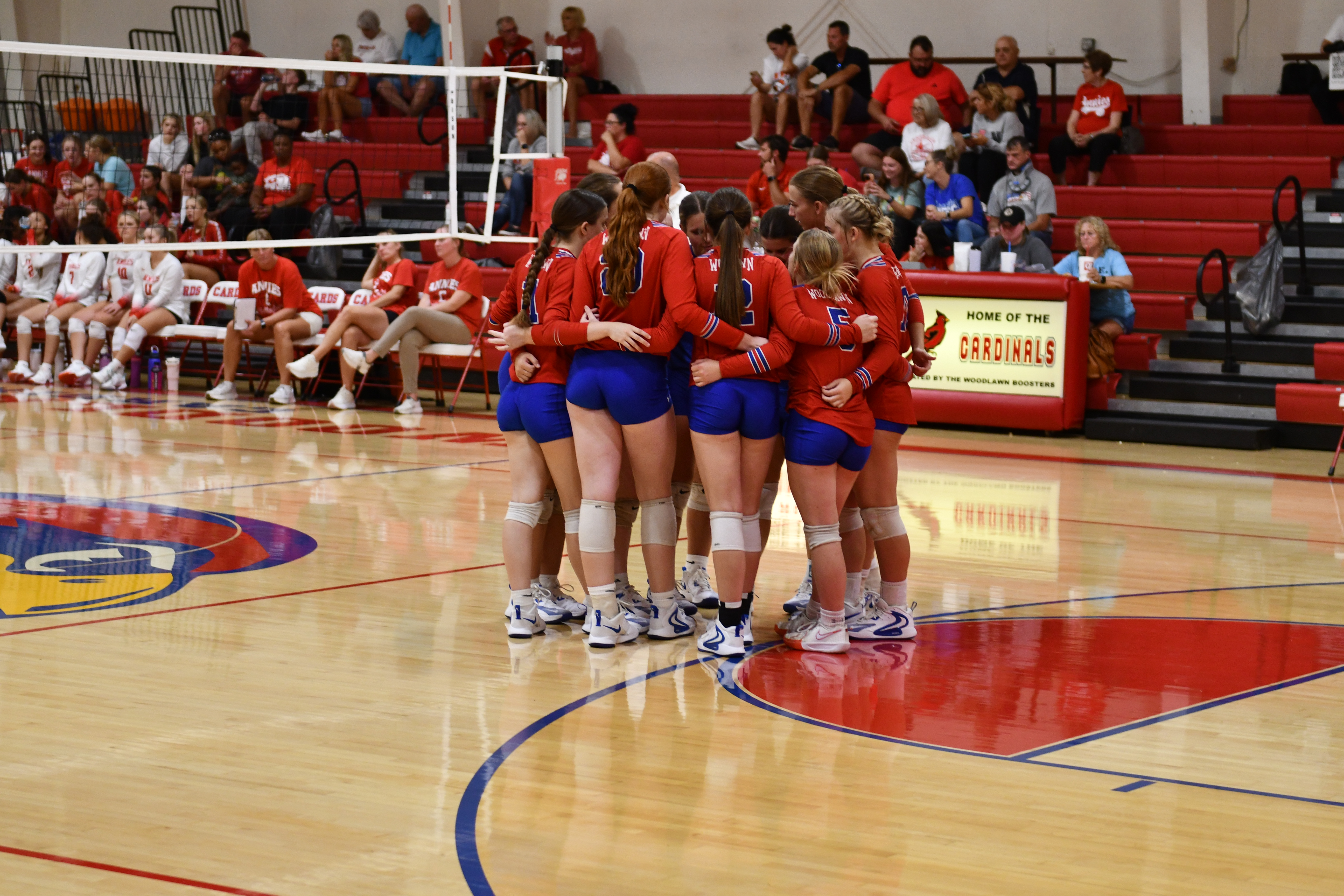 volleyball