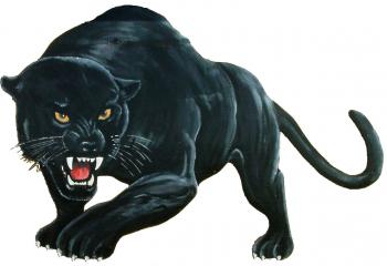 A striking illustration of a black panther