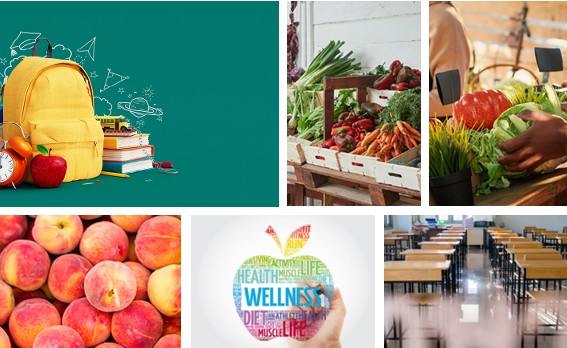wellness