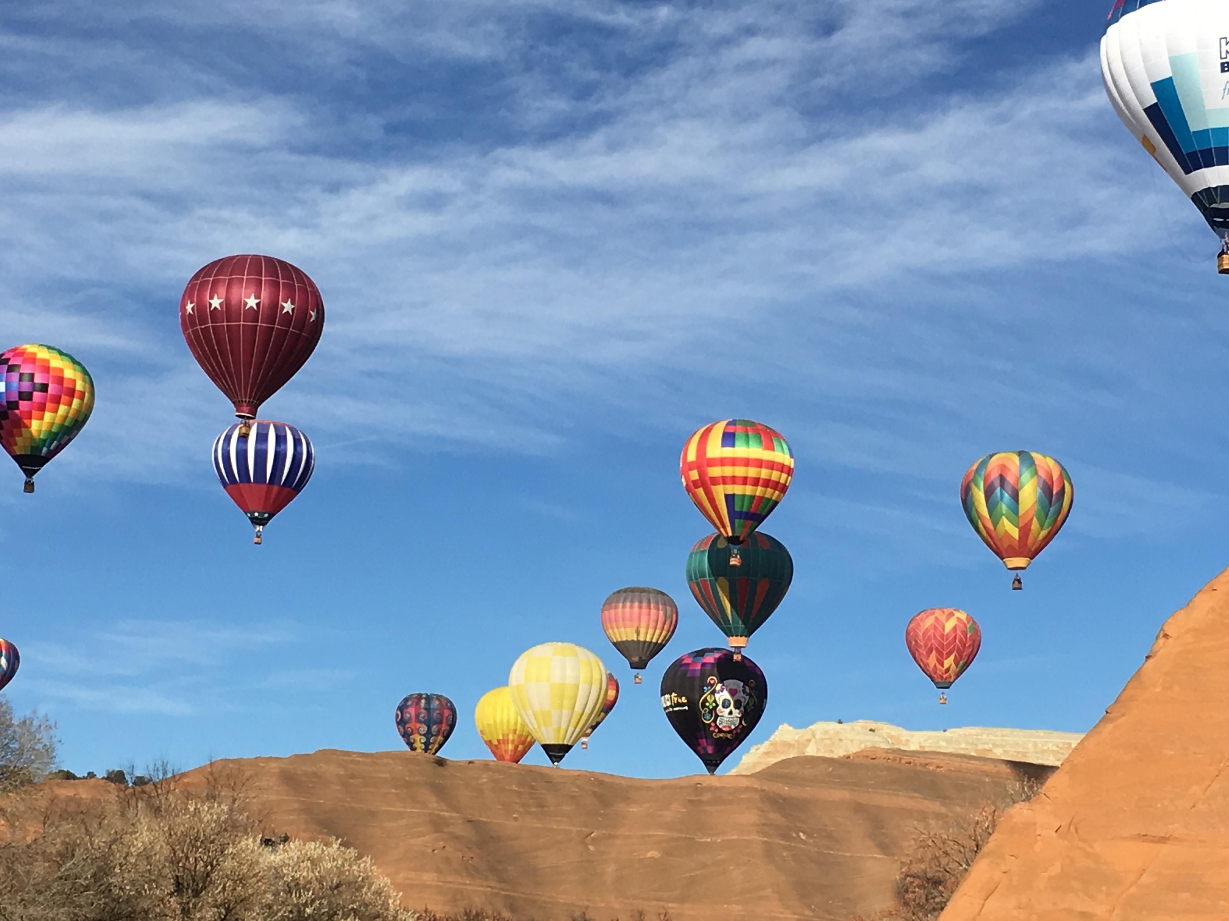 Colorful hot air balloons taking to the sky.