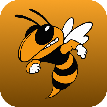 An image of a hornet mascot