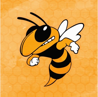 An image of a hornet mascot