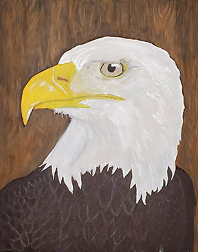 bald eagle