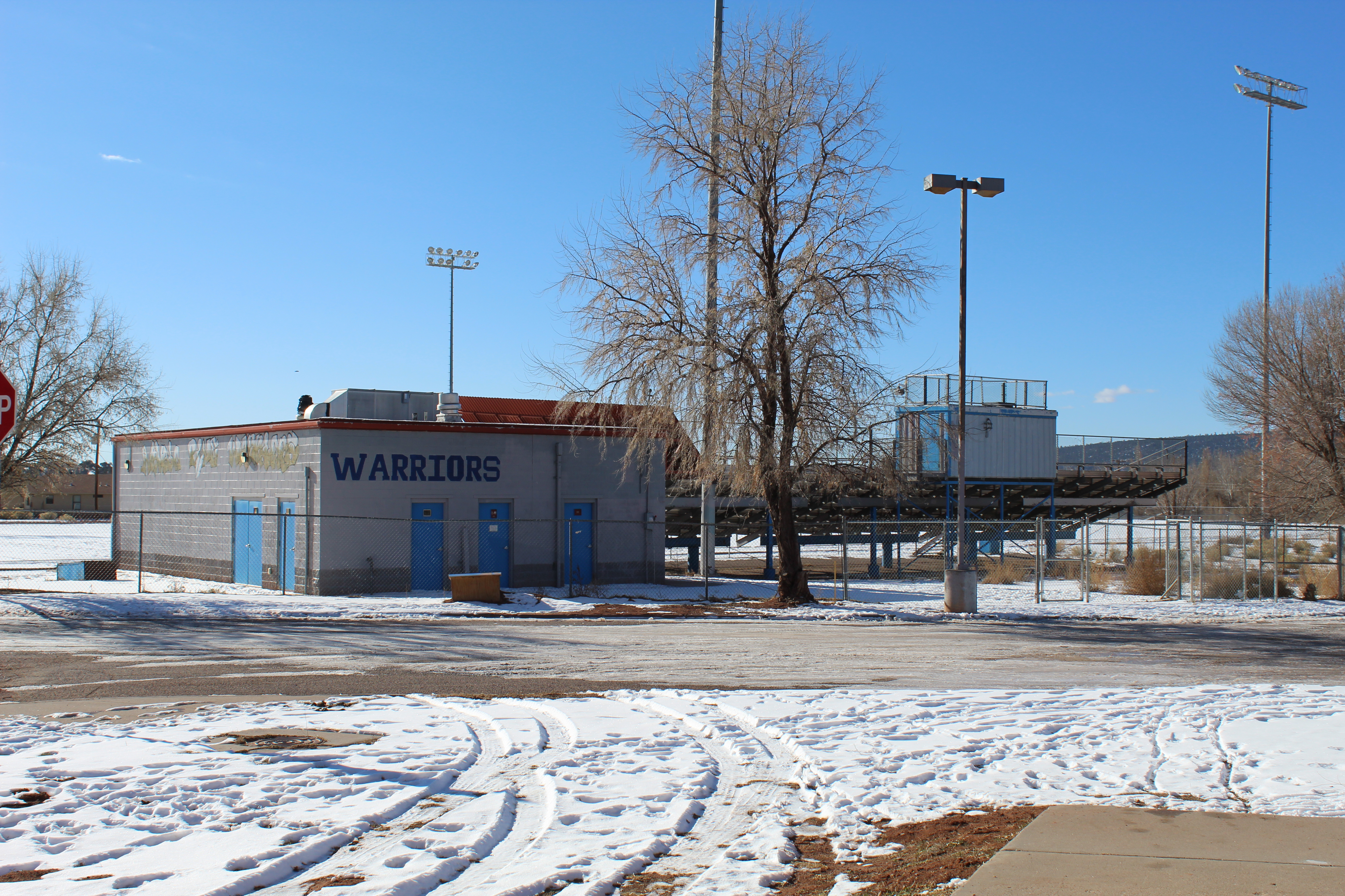 stadium in the snow