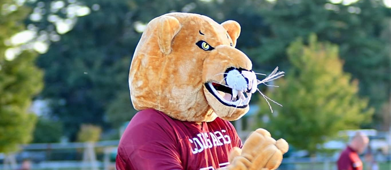 Cougar Mascot