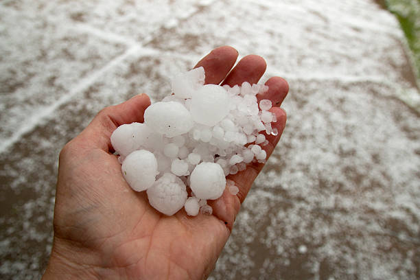 hail in hand