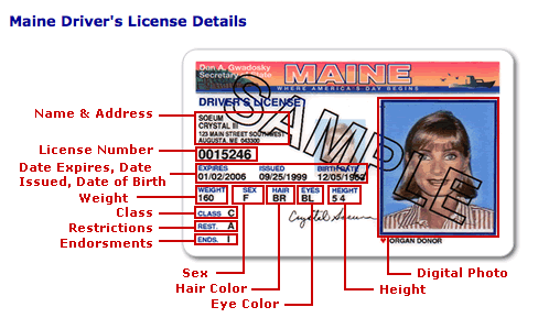 Driver's License