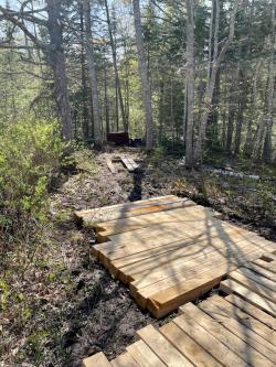 bridge crossing over the stream