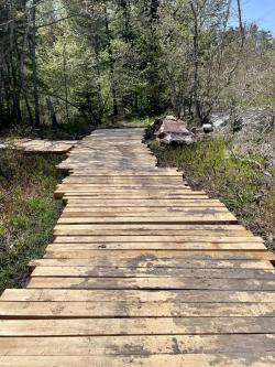 bridge crossing over the stream