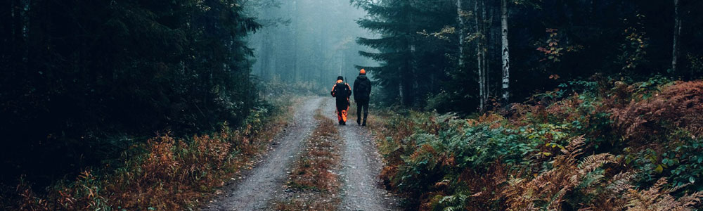 Hunters on a Country Lane