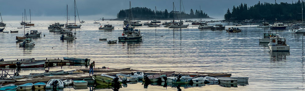 Boats on their Mooring