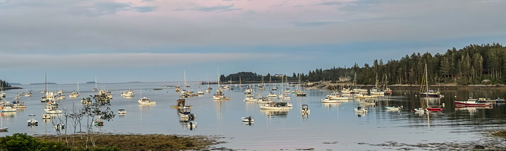Boats on Moorings