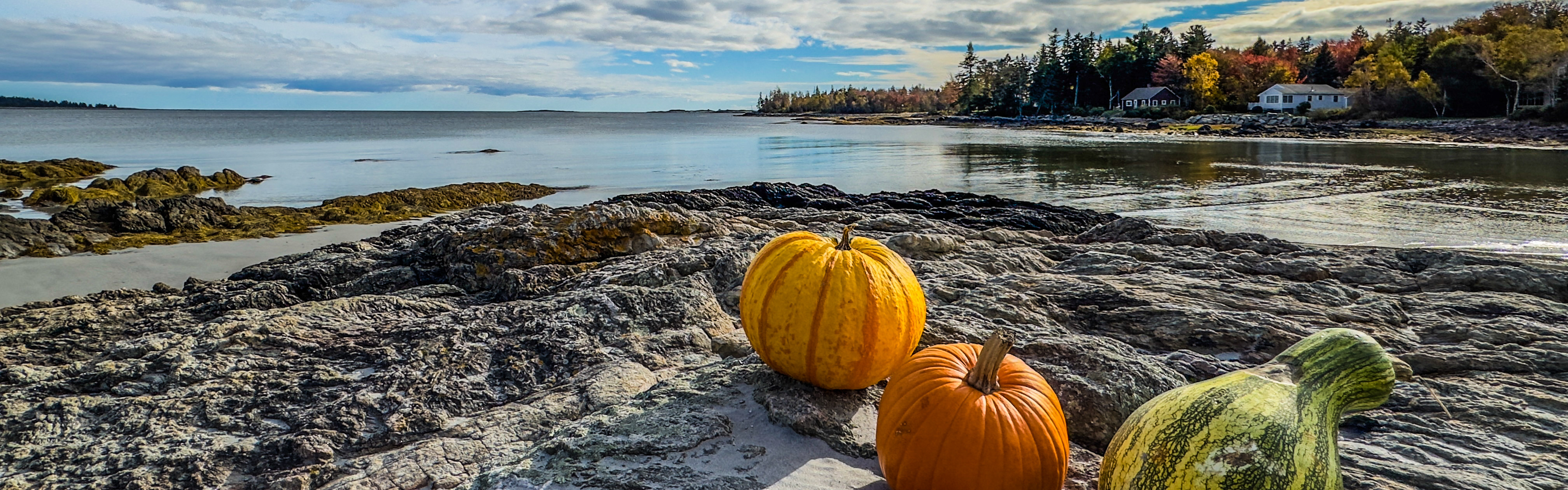 Pumpkins on Beach
