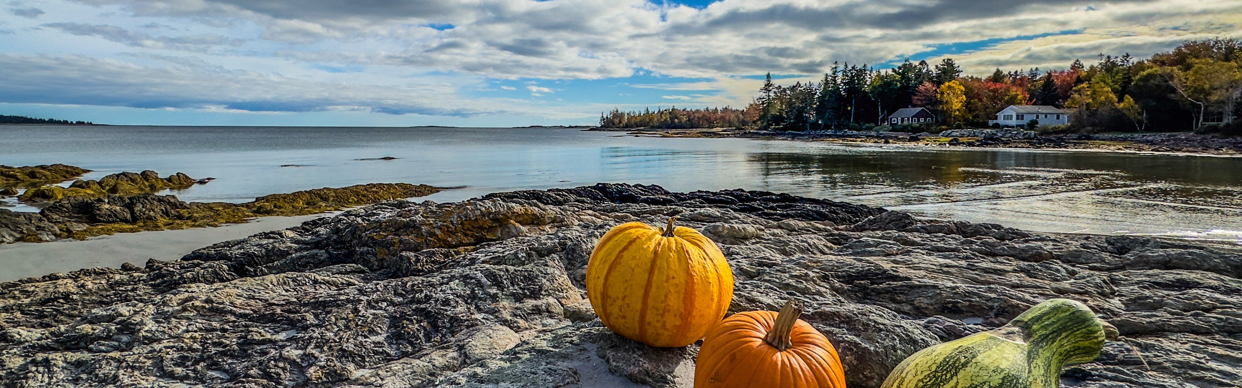Pumpkins on Shore