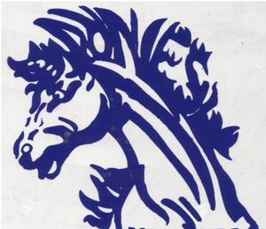 Monticello School District Logo